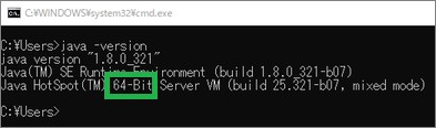 Javaのバージョン確認(64bit版)