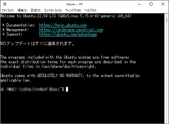 Tera Termのコンソール画面