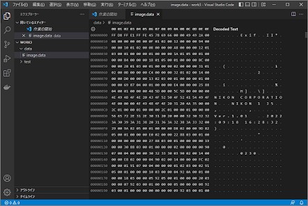 VSCodeのHexEditorで表示