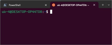 wslのubuntuの表示